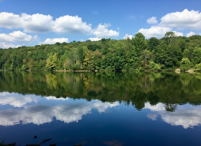 Mohegan Lake, NY